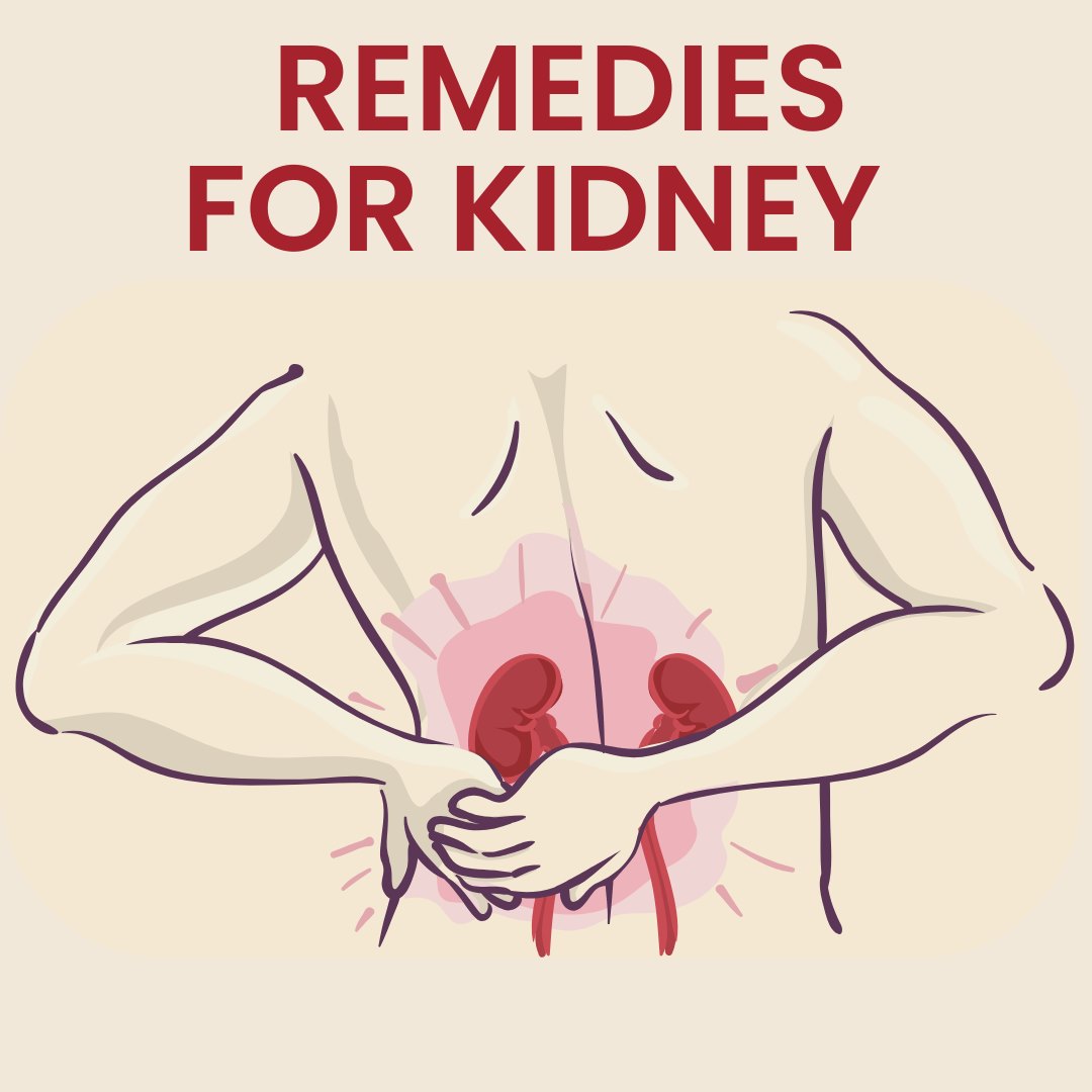 best ayurvedic medicine for kidney