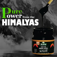 Karni Shudh Shilajit