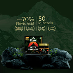 Karni Shudh Shilajit