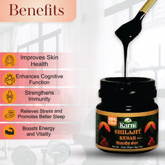 Karni Shilajit Kesar