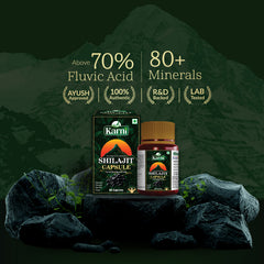 Karni Shilajit Capsules