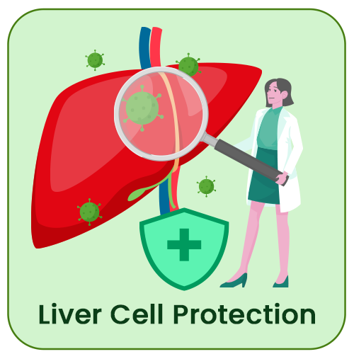 Long-term Protection
