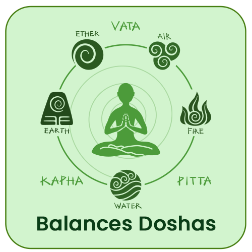 Balances Doshas