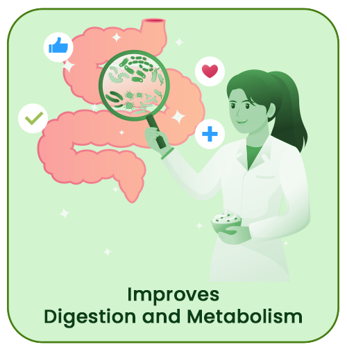 Improves Metabolism